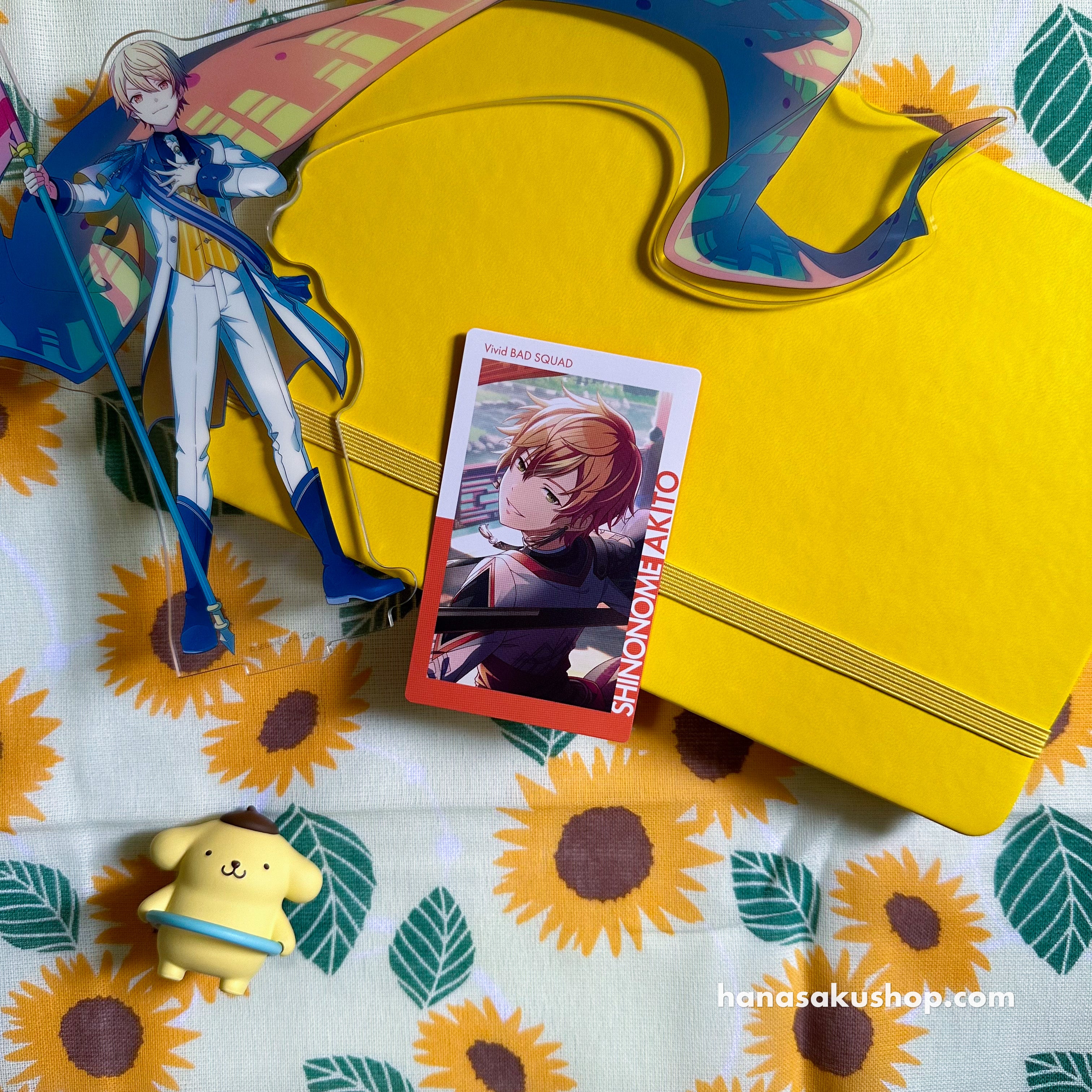 Proseka_12A_Akito.jpg?v=