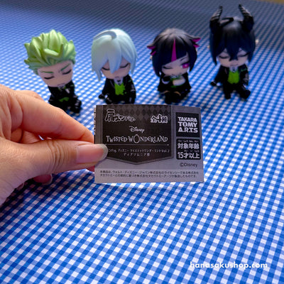 [Indv] Twisted Wonderland Katazun Fig. - Diasomnia