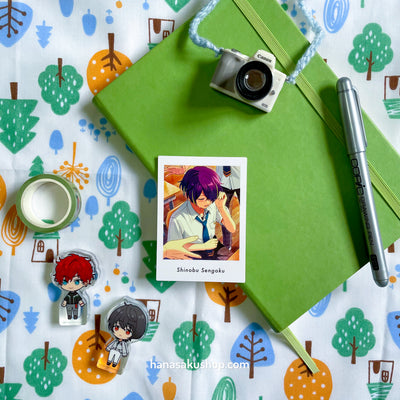 [Indv] Ensemble Stars P.A.shots!! Vol.02 - RYUSEITAI-2